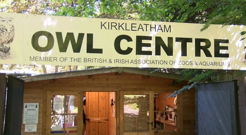 Kirkleatham Owl Centre Redcar